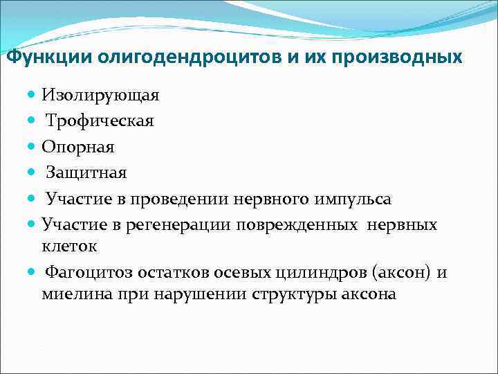 Функции олигодендроцитов и их производных Изолирующая Трофическая Опорная Защитная Участие в проведении нервного импульса
