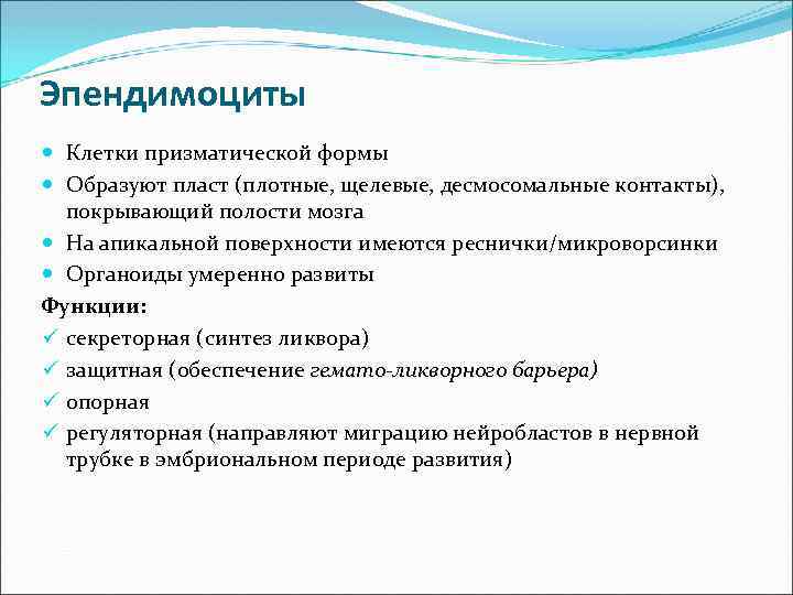 Эпендимоциты Клетки призматической формы Образуют пласт (плотные, щелевые, десмосомальные контакты), покрывающий полости мозга На