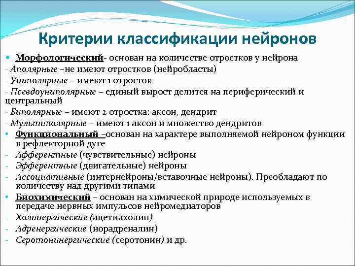 Критерии классификации нейронов Морфологический- основан на количестве отростков у нейрона - Аполярные –не имеют