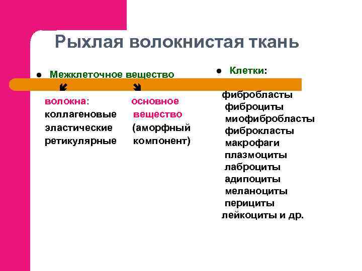 Рыхлая волокнистая ткань l Межклеточное вещество волокна: основное коллагеновые вещество эластические (аморфный ретикулярные компонент)