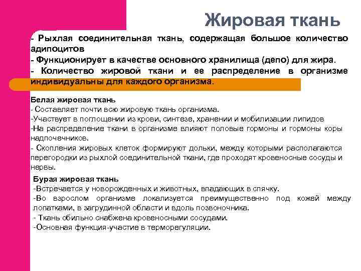 Жировая ткань - Рыхлая соединительная ткань, содержащая большое количество адипоцитов - Функционирует в качестве