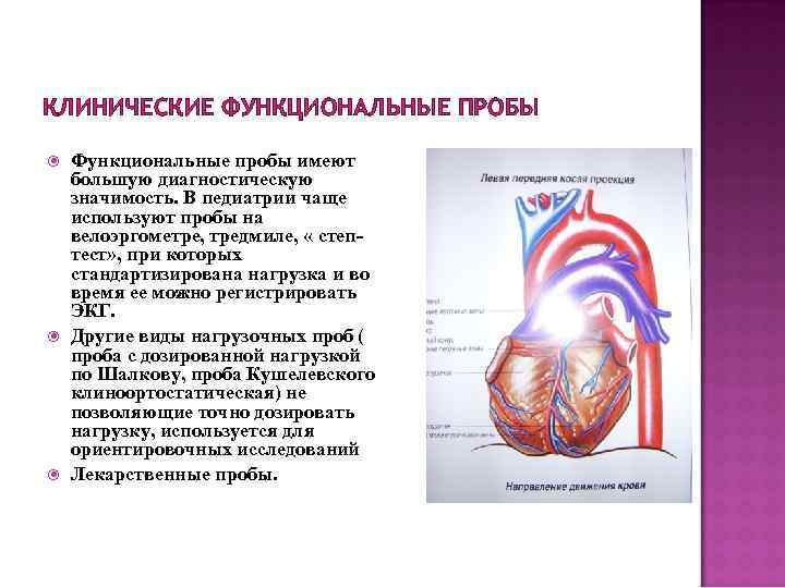 КЛИНИЧЕСКИЕ ФУНКЦИОНАЛЬНЫЕ ПРОБЫ Функциональные пробы имеют большую диагностическую значимость. В педиатрии чаще используют пробы