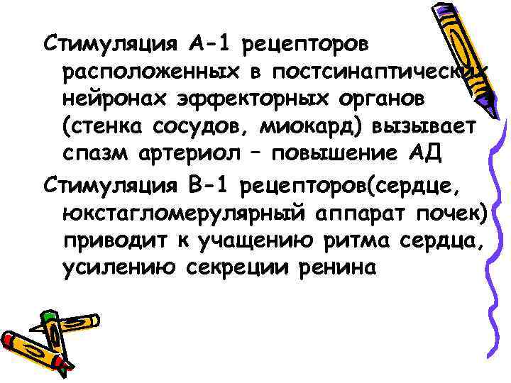 Стимуляция А-1 рецепторов расположенных в постсинаптических нейронах эффекторных органов (стенка сосудов, миокард) вызывает спазм