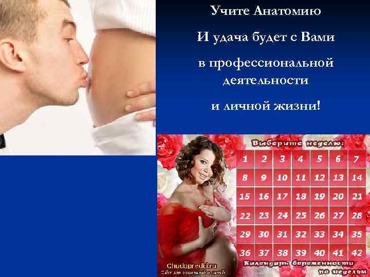 Учите Анатомию И удача будет с Вами в профессиональной деятельности и личной жизни! 