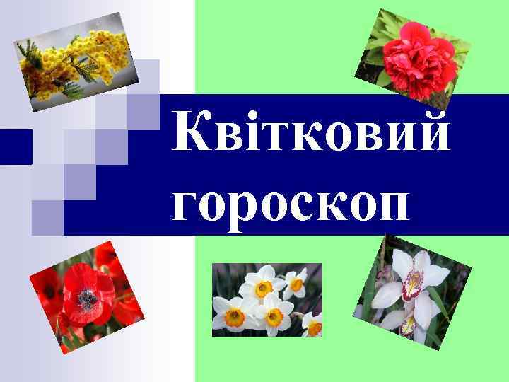 Квітковий гороскоп 