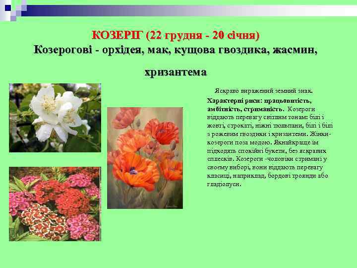 КОЗЕРІГ (22 грудня - 20 січня) Козерогові - орхідея, мак, кущова гвоздика, жасмин, хризантема