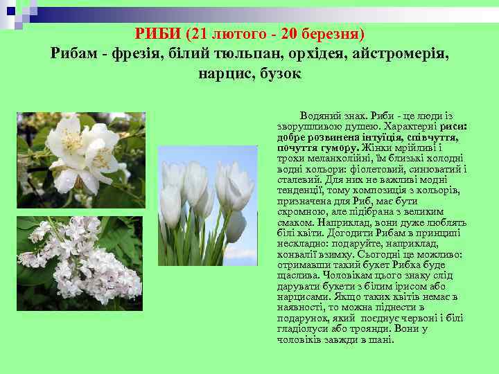 РИБИ (21 лютого - 20 березня) Рибам - фрезія, білий тюльпан, орхідея, айстромерія, нарцис,