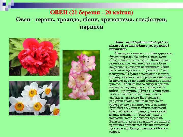 ОВЕН (21 березня - 20 квітня) Овен - герань, троянда, піони, хризантема, гладіолуси, нарциси