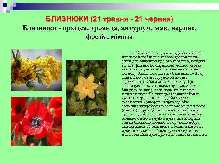 БЛИЗНЮКИ (21 травня - 21 червня) Близнюки - орхідея, троянда, антуріум, мак, нарцис, фрезія,