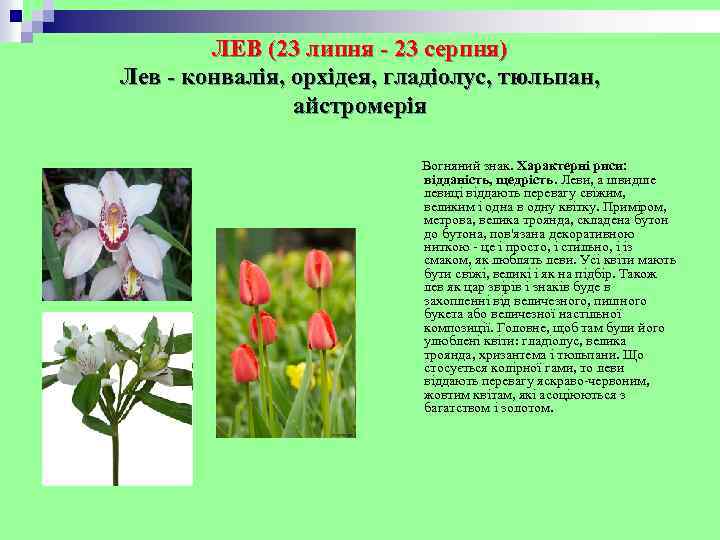 ЛЕВ (23 липня - 23 серпня) Лев - конвалія, орхідея, гладіолус, тюльпан, айстромерія Вогняний