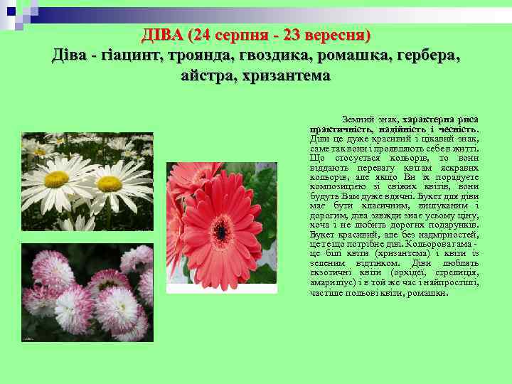 ДІВА (24 серпня - 23 вересня) Діва - гіацинт, троянда, гвоздика, ромашка, гербера, айстра,