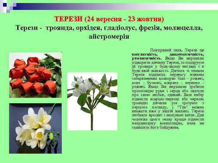 ТЕРЕЗИ (24 вересня - 23 жовтня) Терези - троянда, орхідея, гладіолус, фрезія, молюцелла, айстромерія