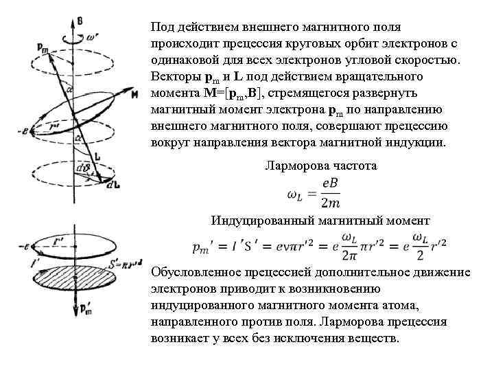 Под действием внешнего магнитного поля происходит прецессия круговых орбит электронов с одинаковой для всех