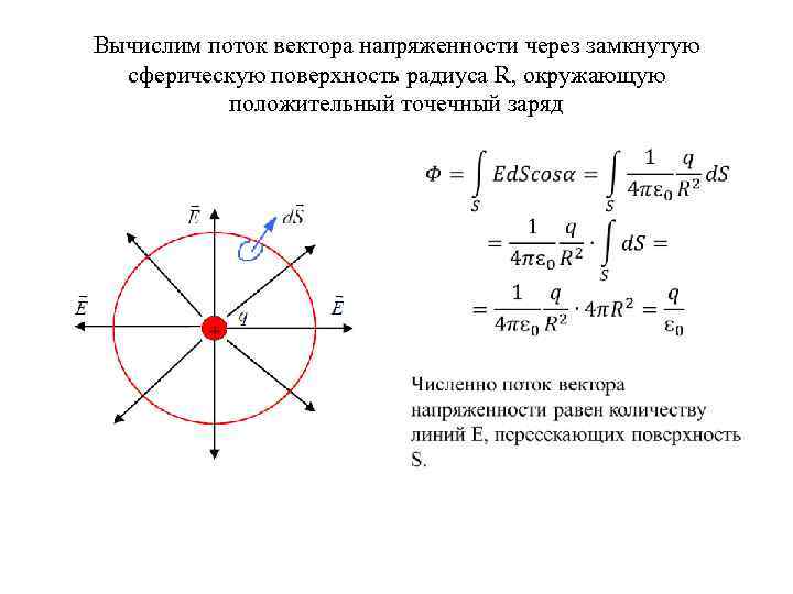 Вектор напряженности положительного точечного заряда