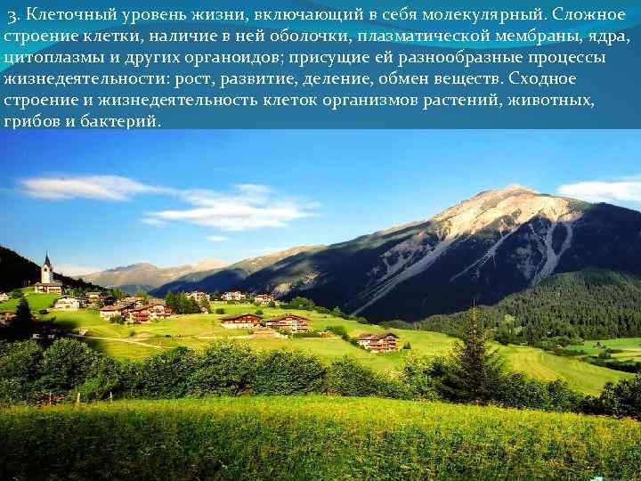  3. Клеточный уровень жизни, включающий в себя молекулярный. Сложное строение клетки, наличие в