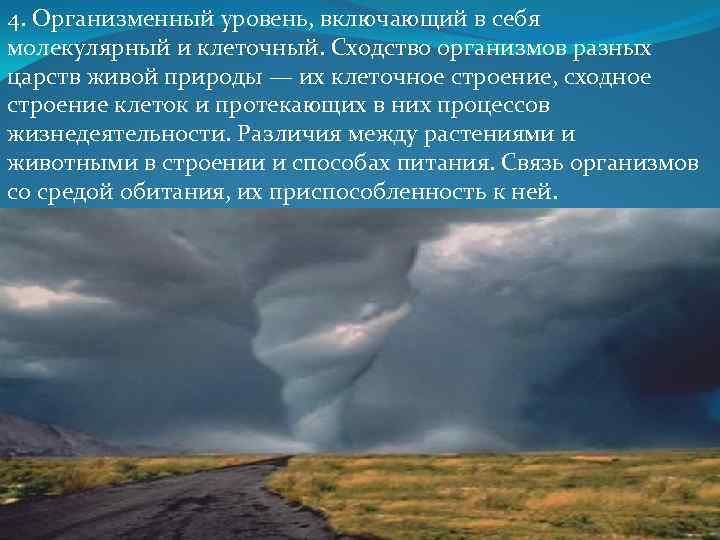 4. Организменный уровень, включающий в себя молекулярный и клеточный. Сходство организмов разных царств живой