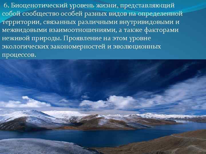  6. Биоценотический уровень жизни, представляющий собой сообщество особей разных видов на определенной территории,