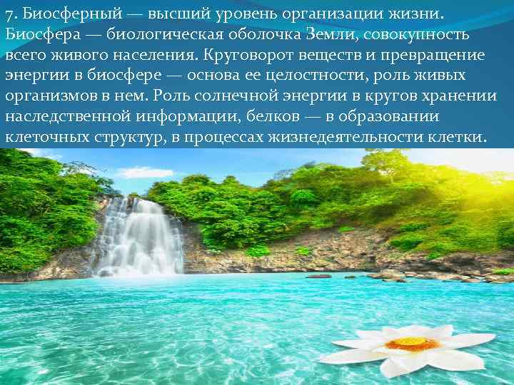 7. Биосферный — высший уровень организации жизни. Биосфера — биологическая оболочка Земли, совокупность всего