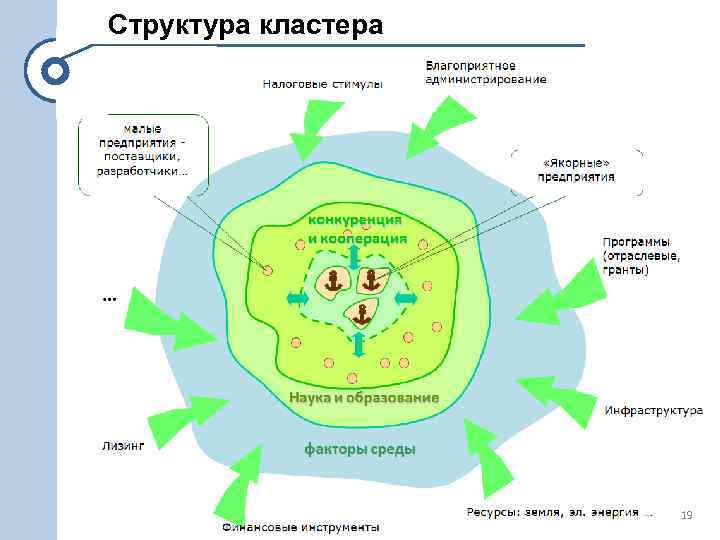 Структура кластера 19 