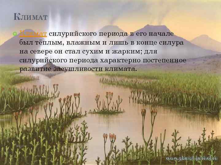 КЛИМАТ Климат силурийского периода в его начале был тёплым, влажным и лишь в конце