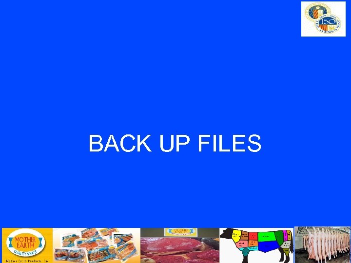 BACK UP FILES 