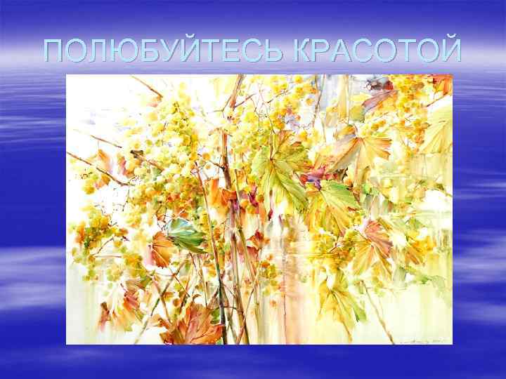 ПОЛЮБУЙТЕСЬ КРАСОТОЙ 