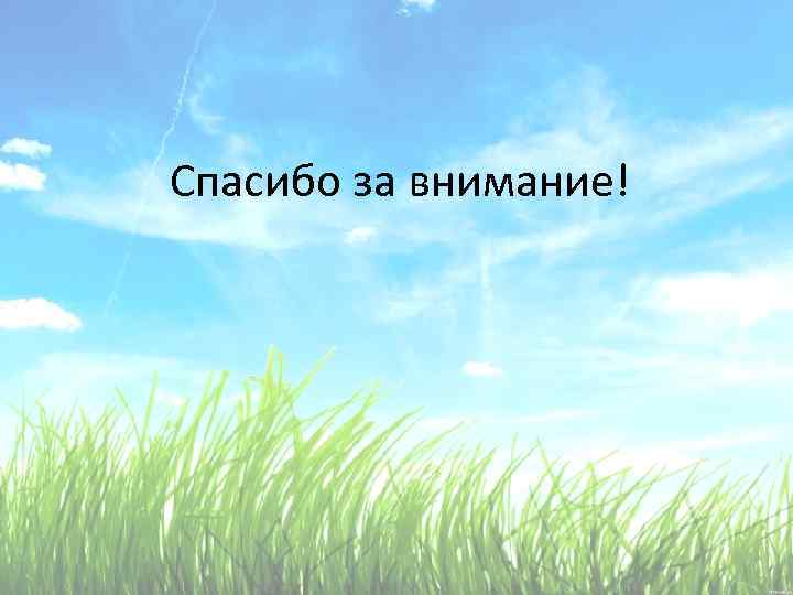 Спасибо за внимание! 
