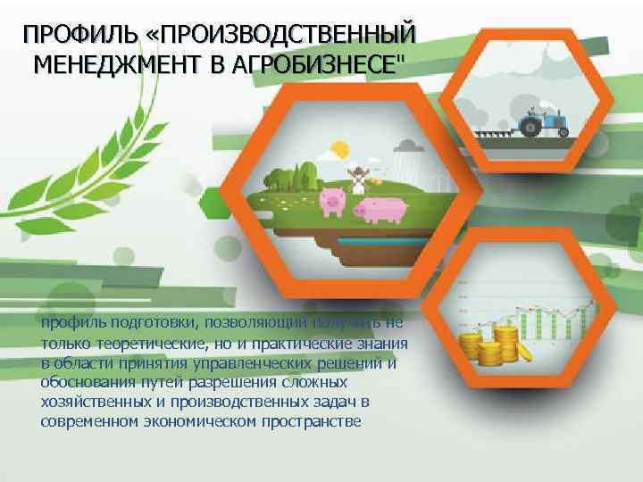 ПРОФИЛЬ «ПРОИЗВОДСТВЕННЫЙ МЕНЕДЖМЕНТ В АГРОБИЗНЕСЕ
