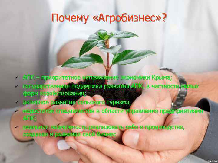 Почему «Агробизнес» ? ü ü ü АПК – приоритетное направление экономики Крыма; государственная поддержка