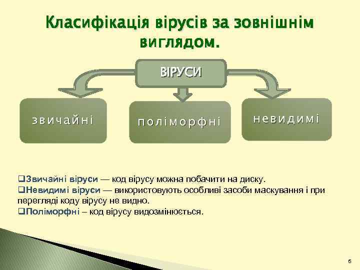 Класифікація вірусів за зовнішнім виглядом. ВІРУСИ звичайні поліморфні невидимі q. Звичайні віруси — код