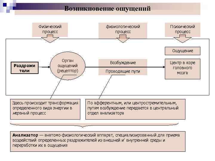 Возникновение ощущений Физический процесс физиологический процесс Психический процесс Ощущение Раздражи тели Орган ощущений (рецептор)