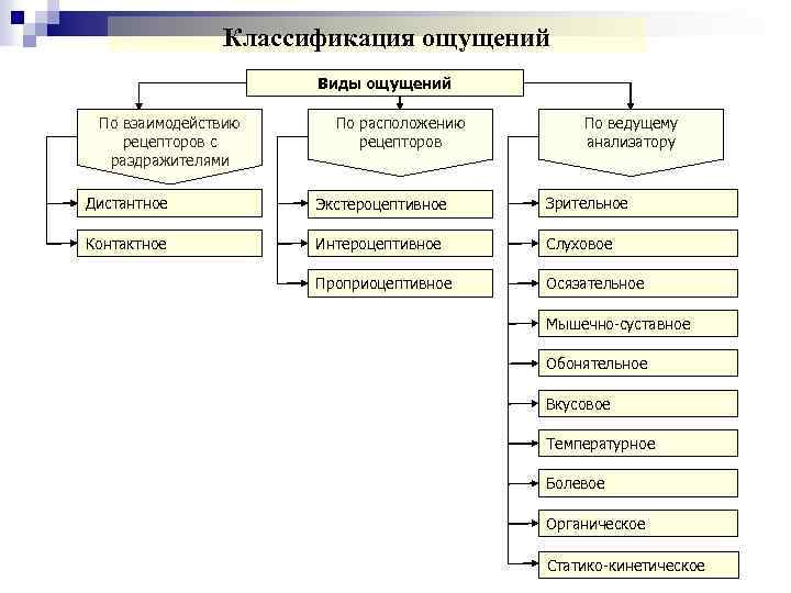 Классификация ощущений Виды ощущений По взаимодействию рецепторов с раздражителями По расположению рецепторов По ведущему