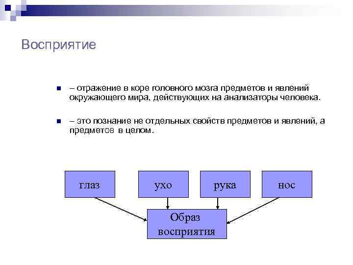 Восприятие n – отражение в коре головного мозга предметов и явлений окружающего мира, действующих