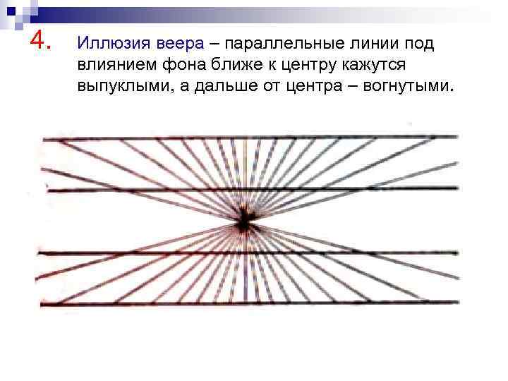 4. Иллюзия веера – параллельные линии под влиянием фона ближе к центру кажутся выпуклыми,