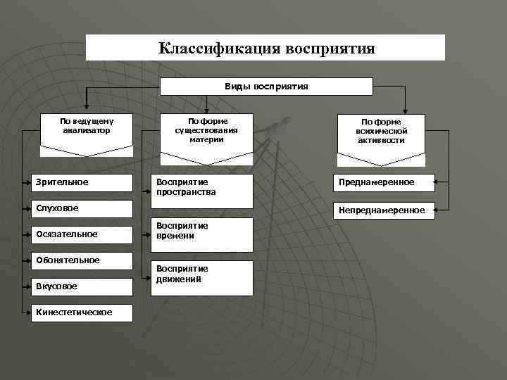 Классификация восприятия Виды восприятия По ведущему анализатор Зрительное По форме существования материи Восприятие пространства