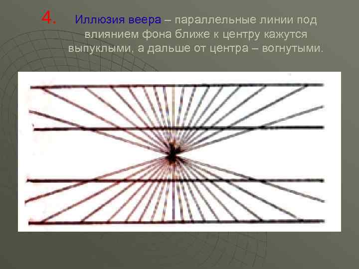 4. Иллюзия веера – параллельные линии под влиянием фона ближе к центру кажутся выпуклыми,