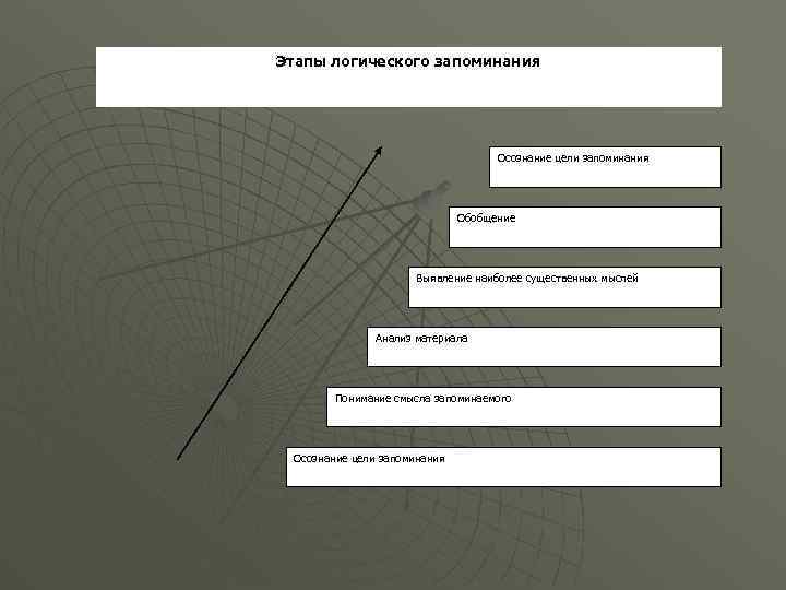 Этапы логического запоминания Осознание цели запоминания Обобщение Выявление наиболее существенных мыслей Анализ материала Понимание