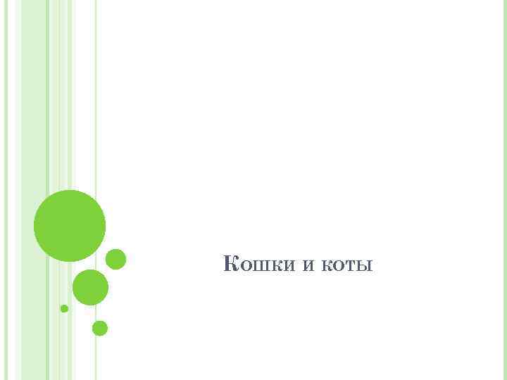 КОШКИ И КОТЫ 