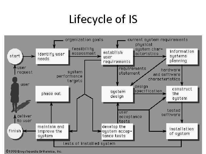 Lifecycle of IS 