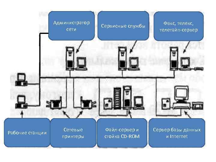 Администратор сети Рабочие станции Сетевые принтеры Сервисные службы Файл-сервер и стойка CD-ROM Факс, телетайп-сервер