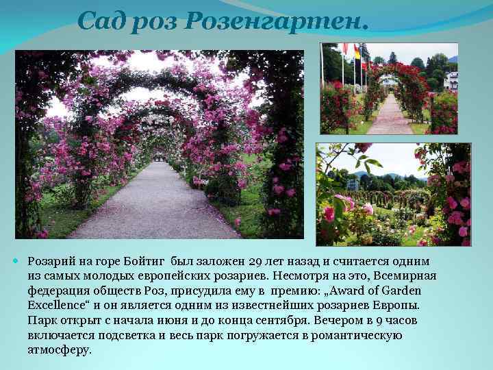 Сад роз Розенгартен. Розарий на горе Бойтиг был заложен 29 лет назад и считается