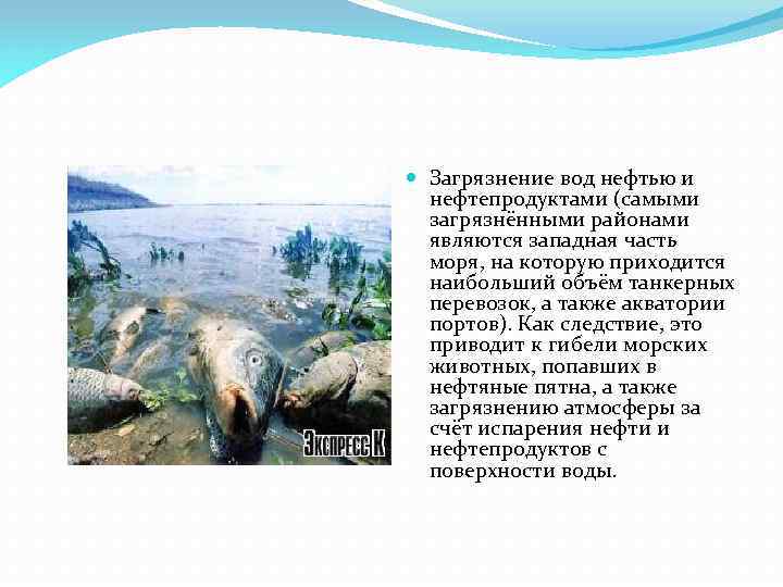  Загрязнение вод нефтью и нефтепродуктами (самыми загрязнёнными районами являются западная часть моря, на