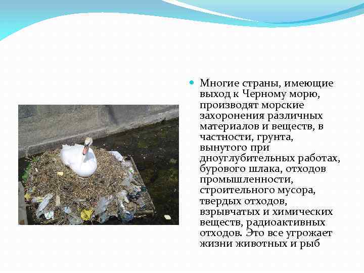  Многие страны, имеющие выход к Черному морю, производят морские захоронения различных материалов и