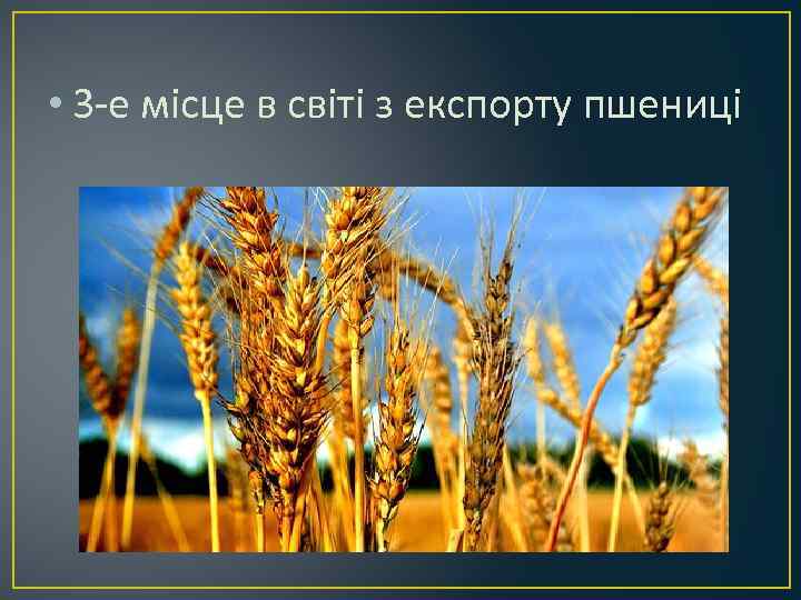  • 3 -е місце в світі з експорту пшениці 