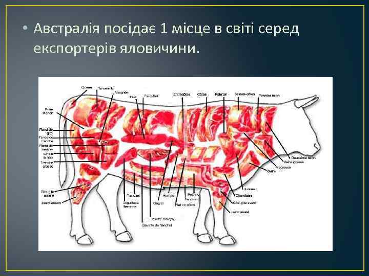  • Австралія посідає 1 місце в світі серед експортерів яловичини. 