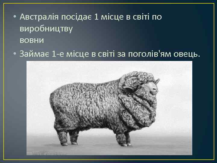  • Австралія посідає 1 місце в світі по виробництву вовни • Займає 1
