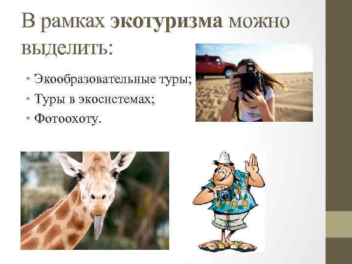 В рамках экотуризма можно выделить: • Экообразовательные туры; • Туры в экосистемах; • Фотоохоту.