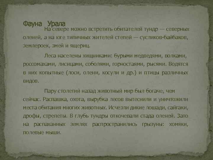 Фауна Урала На севере можно встретить обитателей тундр — северных оленей, a на юге