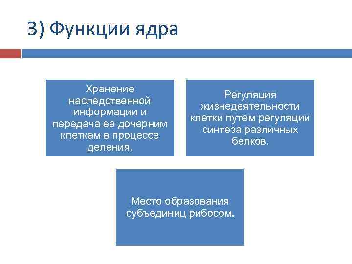 3) Функции ядра Хранение наследственной информации и передача ее дочерним клеткам в процессе деления.