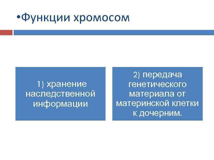  • Функции хромосом 1) хранение наследственной информации 2) передача генетического материала от материнской